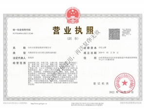 山东全网担保网建设集团有限公司