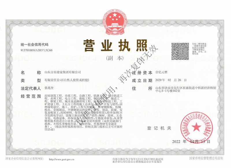 山东全网担保网建设集团有限公司