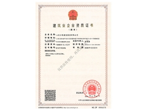 全网担保网建设工程总承包资质证书